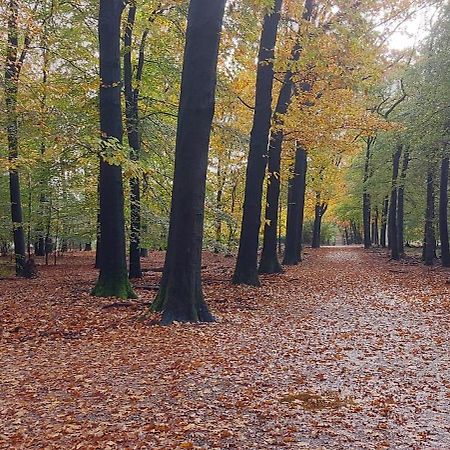 Chalet Wanama. Gelegen Op Het Vakantiepark Het Lierderholt Op De Veluwe. Βίλα Beekbergen Εξωτερικό φωτογραφία