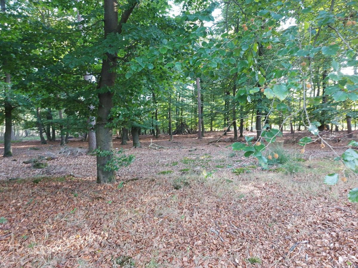 Chalet Wanama. Gelegen Op Het Vakantiepark Het Lierderholt Op De Veluwe. Βίλα Beekbergen Εξωτερικό φωτογραφία