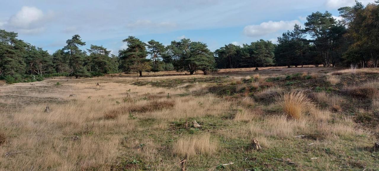 Chalet Wanama. Gelegen Op Het Vakantiepark Het Lierderholt Op De Veluwe. Βίλα Beekbergen Εξωτερικό φωτογραφία
