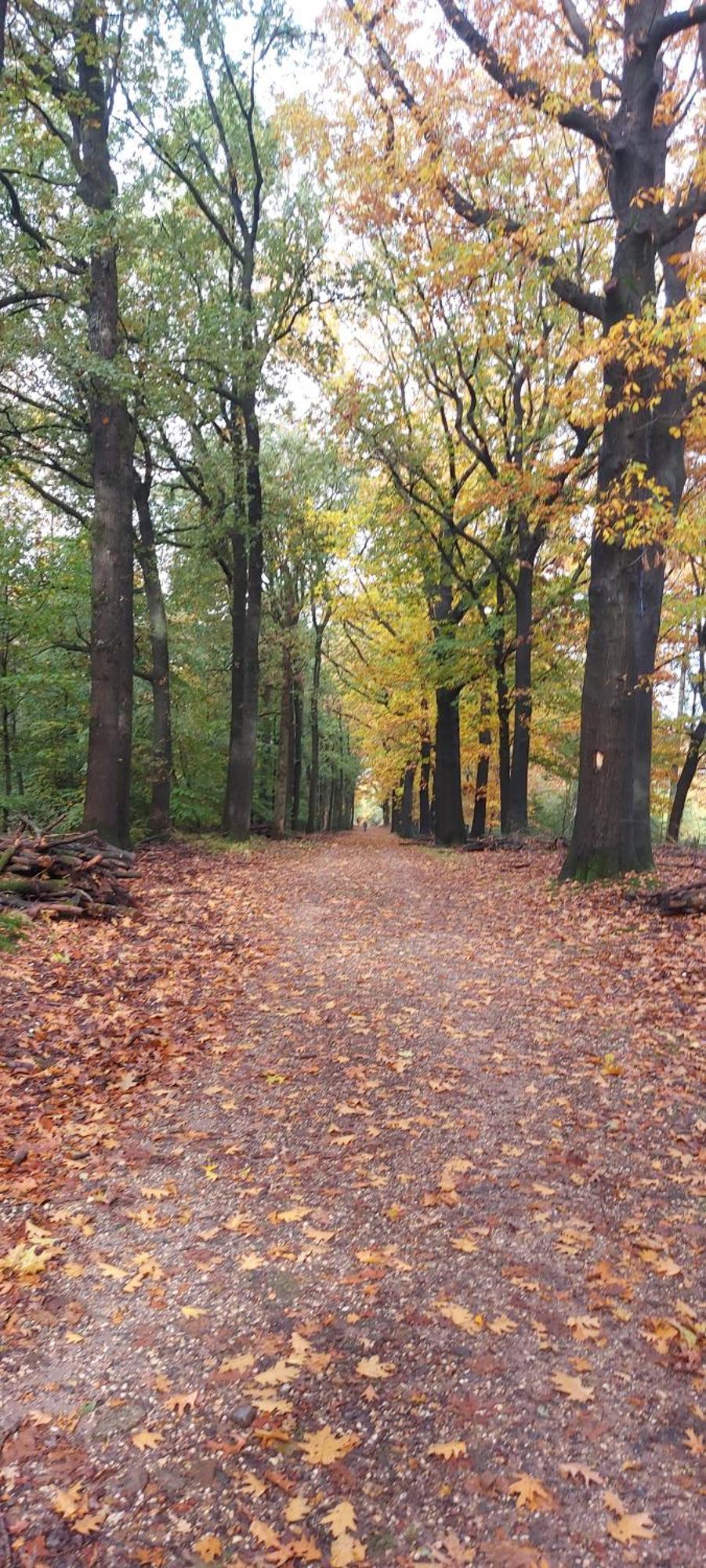 Chalet Wanama. Gelegen Op Het Vakantiepark Het Lierderholt Op De Veluwe. Βίλα Beekbergen Εξωτερικό φωτογραφία